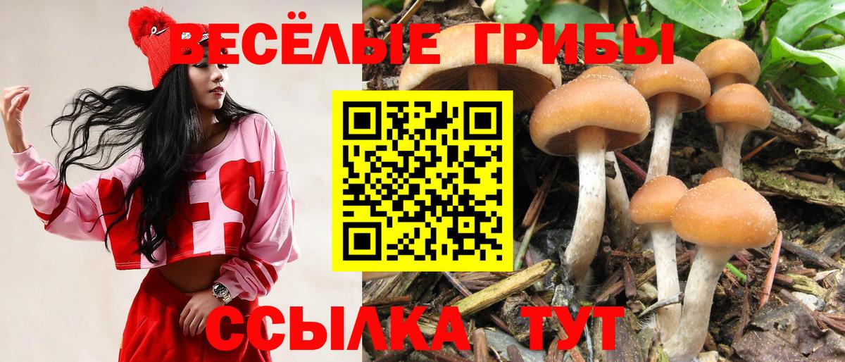 Галлюциногенные грибы ЛСД Бахчисарай