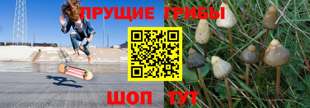 Бахчисарай  Галлюциногенные грибы Magic Shrooms  Вход с VPN 